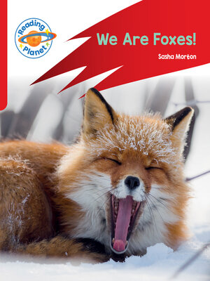 cover image of We Are Foxes